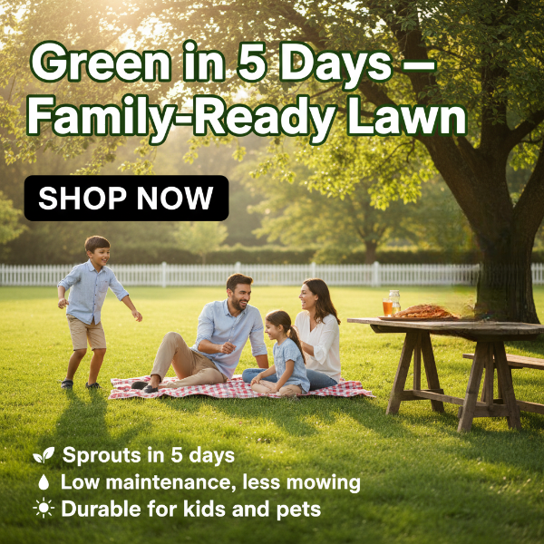 Four Seasons Evergreen Dwarf Grass Seeds | 🔥BUY 1 GET 1 FREE🔥